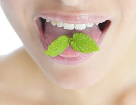 menta per combattere l'alitosi