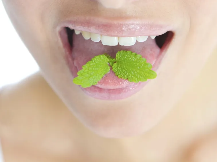 menta per combattere l'alitosi