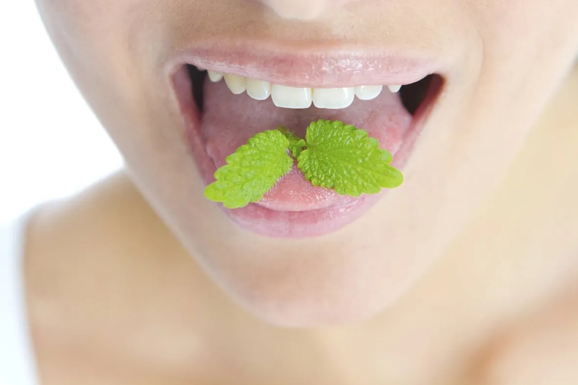 menta per combattere l'alitosi