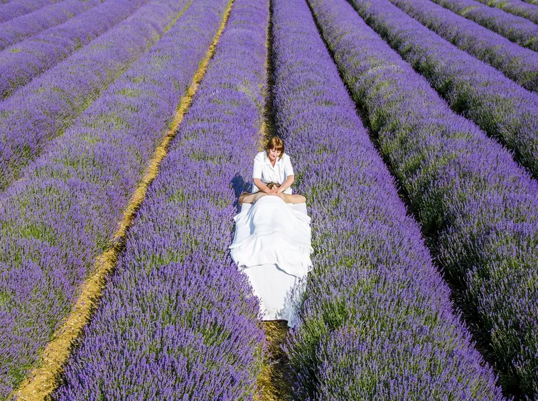 fiori lavanda