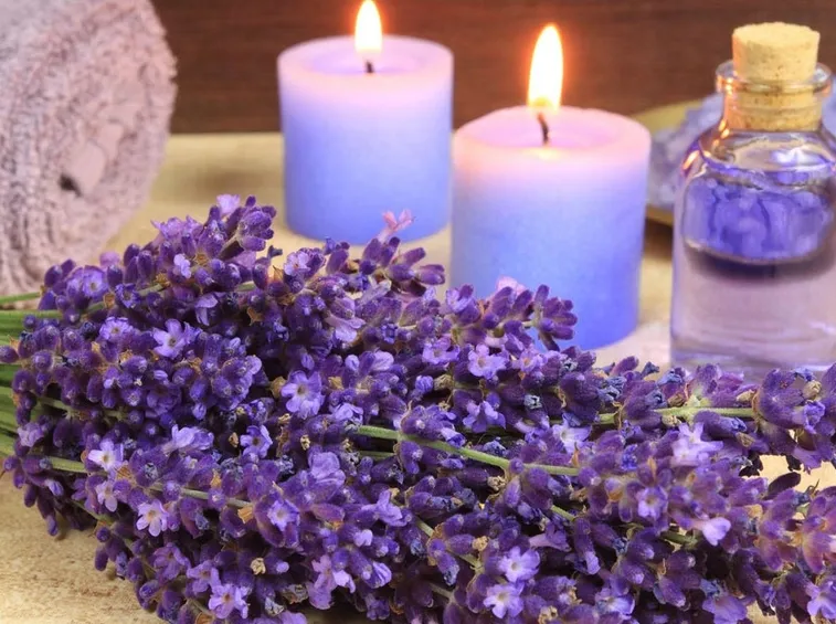 proprietà lavanda2