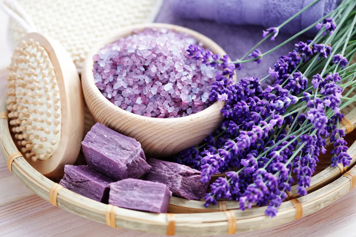 proprietà lavanda