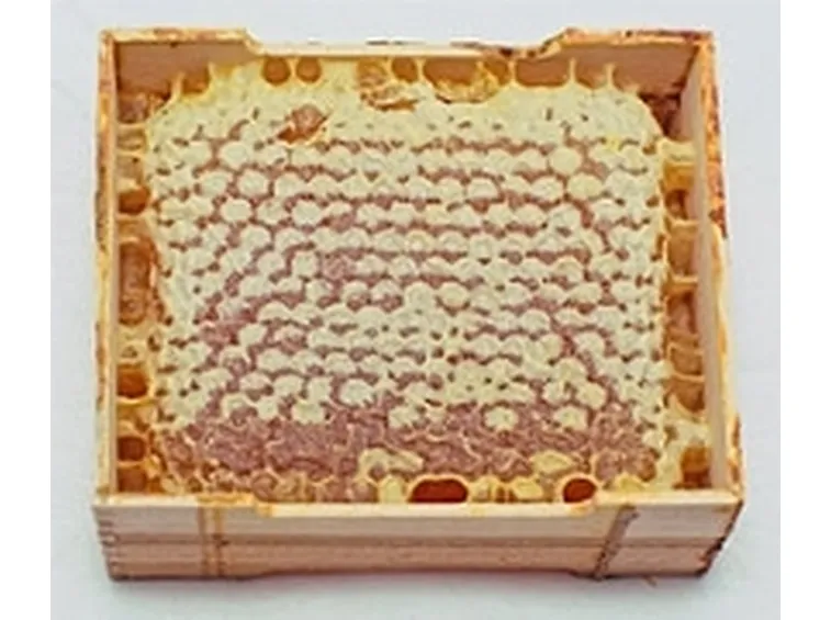 produzione miele2