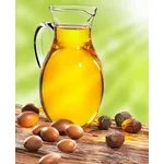 Magnifico esemplare di Argania spinosa