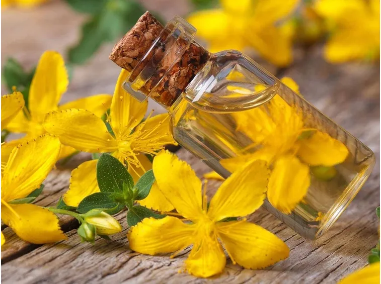 olio di iperico
