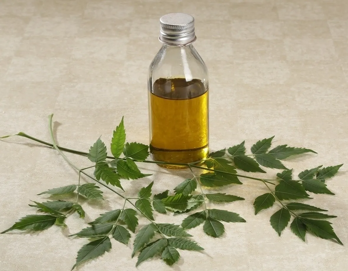 olio di neem