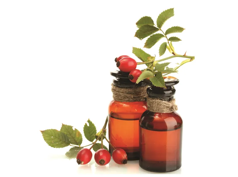 olio di rosa mosqueta