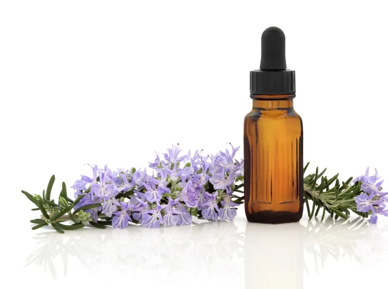 Foglie, fiori ed olio di rosmarino