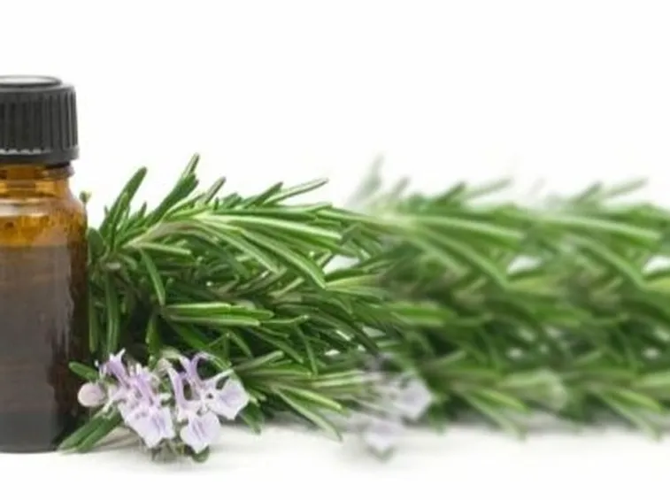 Boccetta di olio di eucalipto