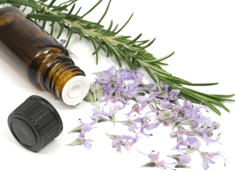 Olio essenziale di rosmarino