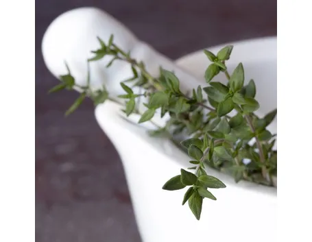 Foglie di timo (Thymus vulgaris)