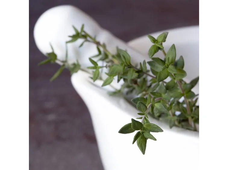 Foglie di timo (Thymus vulgaris)