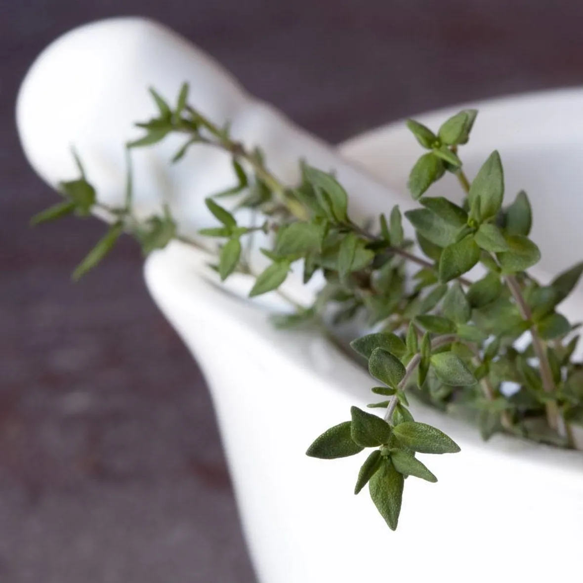 Foglie di timo (Thymus vulgaris)