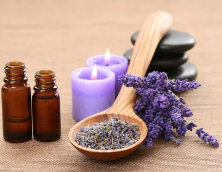pianta e olio di lavanda