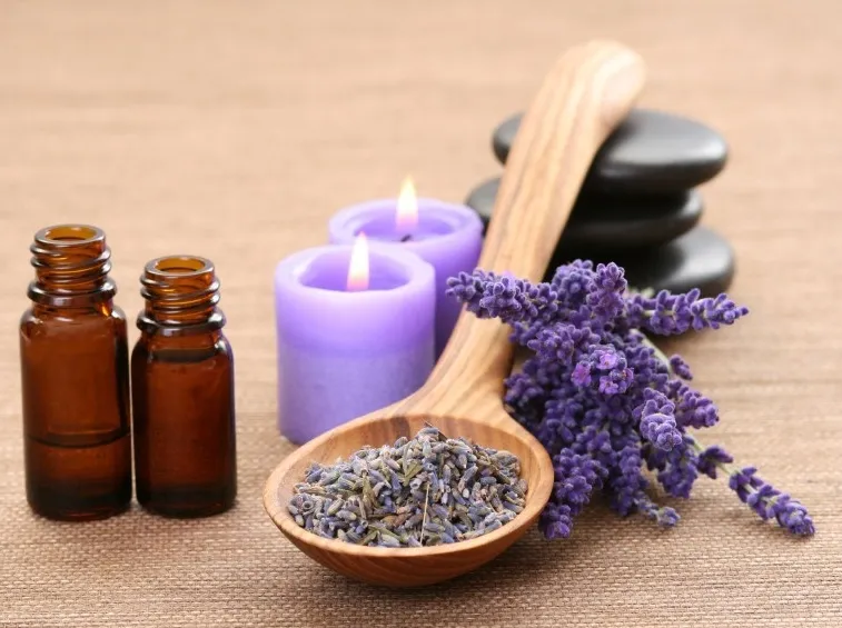 pianta e olio di lavanda