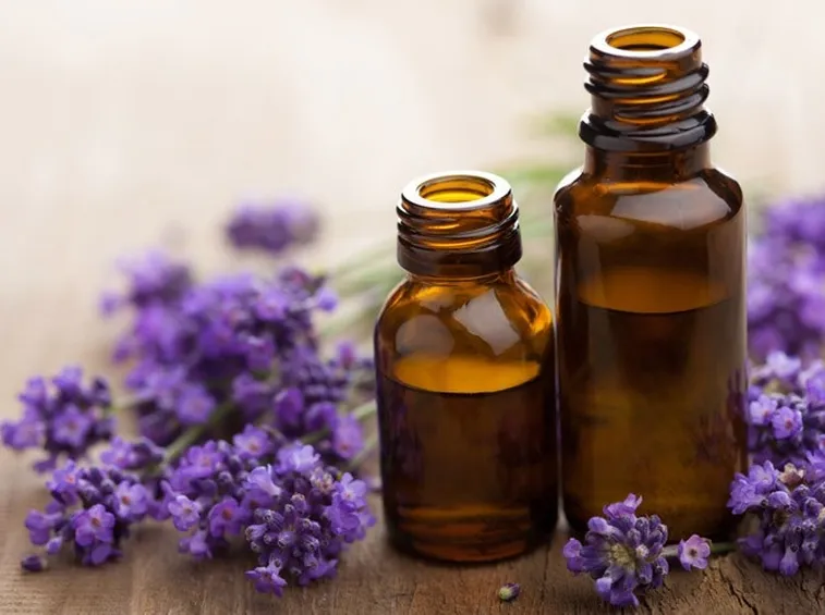 olio essenziale di lavanda