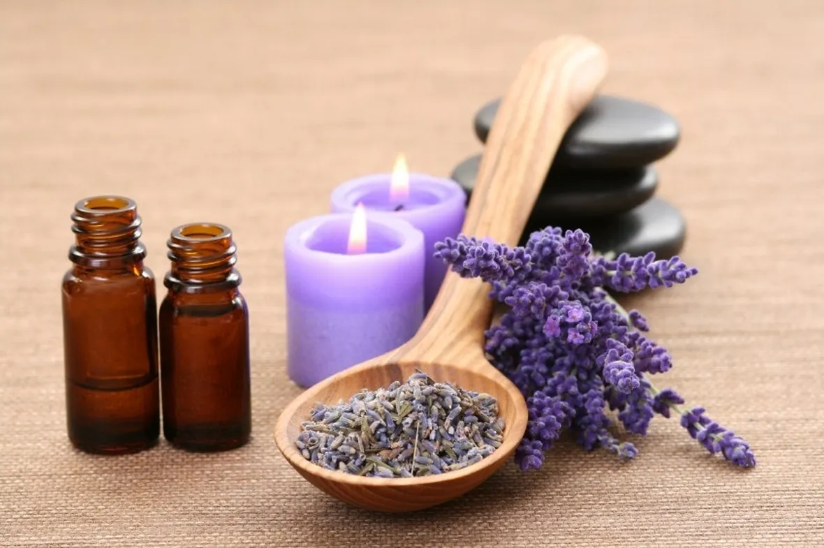 pianta e olio di lavanda