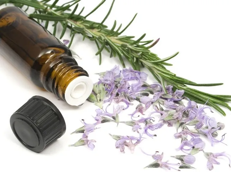 Usi dell'olio essenziale di origano