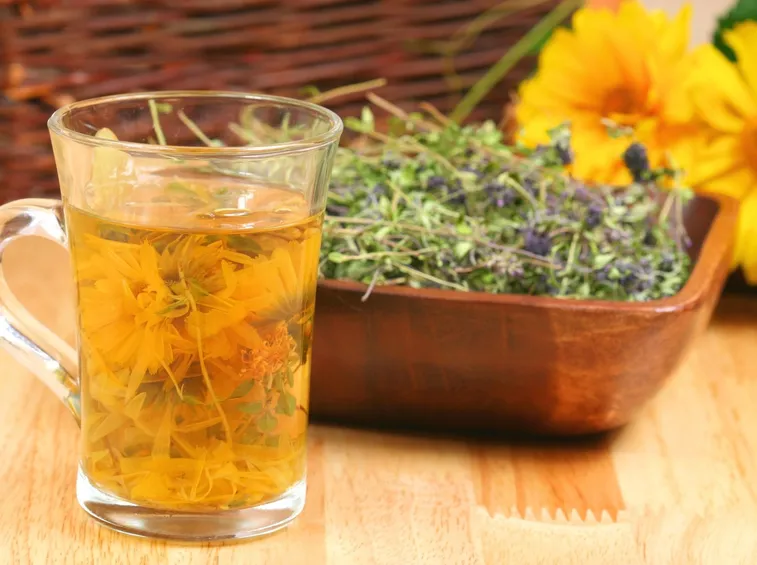 olio essenziale di timo