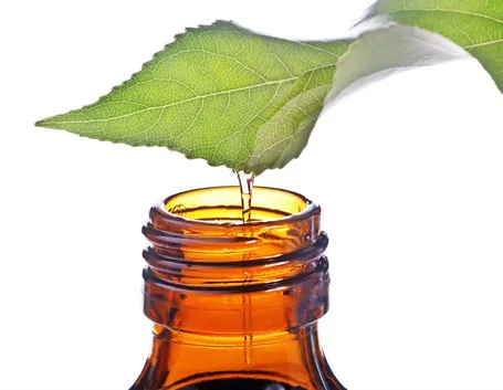 olio tea tree