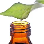 olio tea tree