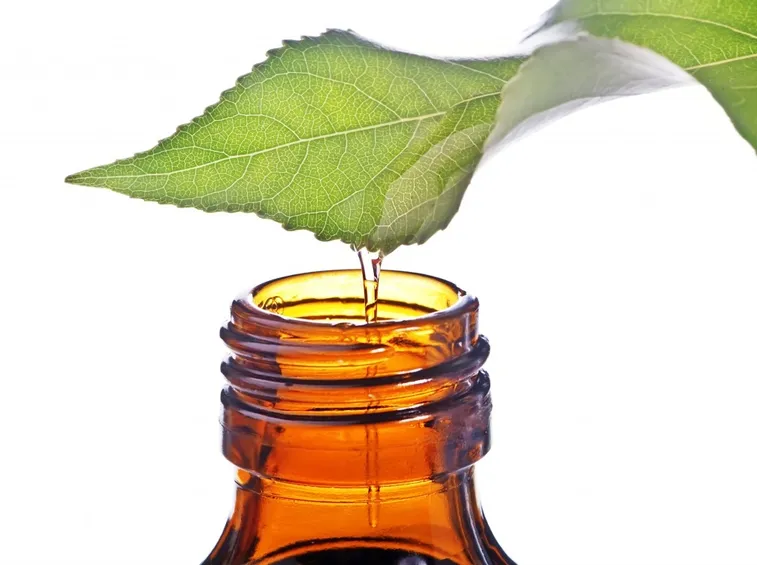 olio tea tree