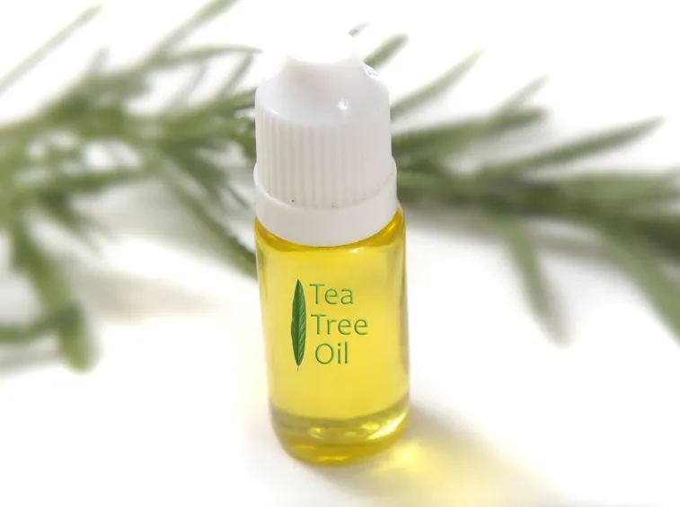 olio tea tree