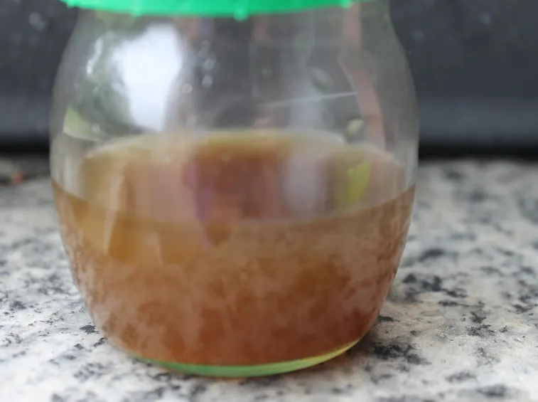macerato idro-glicerico