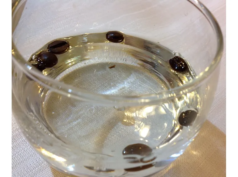 Liquore sambuca