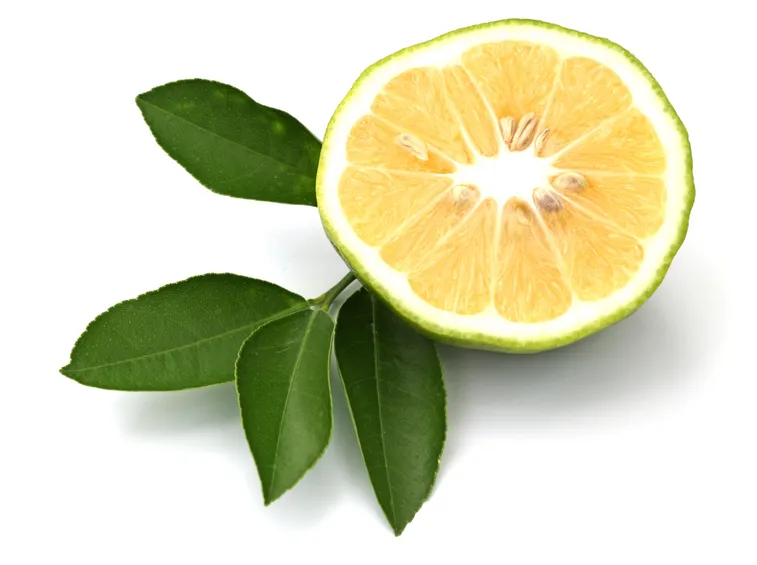Bergamotto