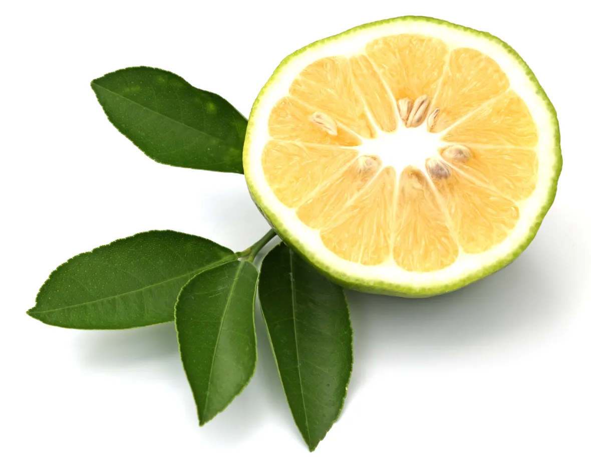 Bergamotto