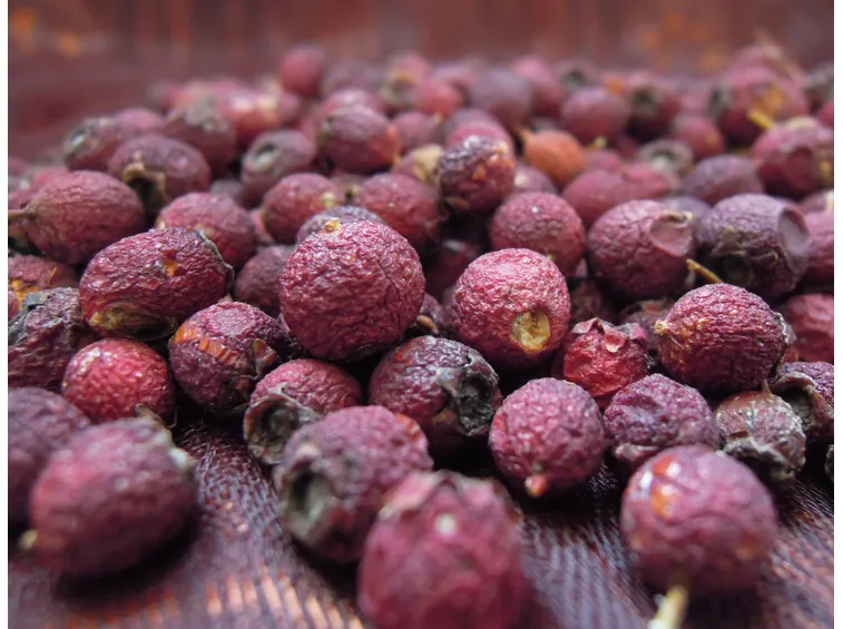 bacche di biancospino