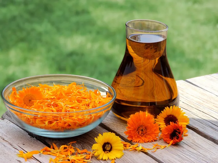 tintura madre di calendula