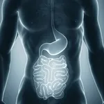 apparato gastro-intestinale