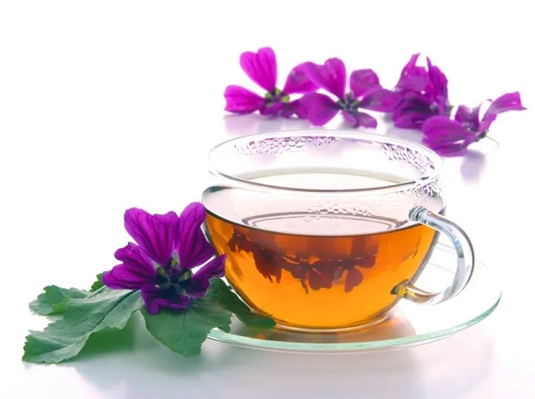 Tisana alla malva effetti benefici