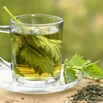 ortica tisana