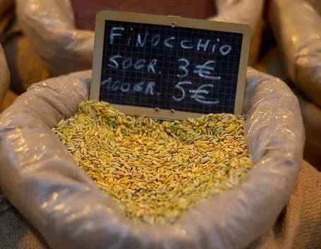 semi di finocchio