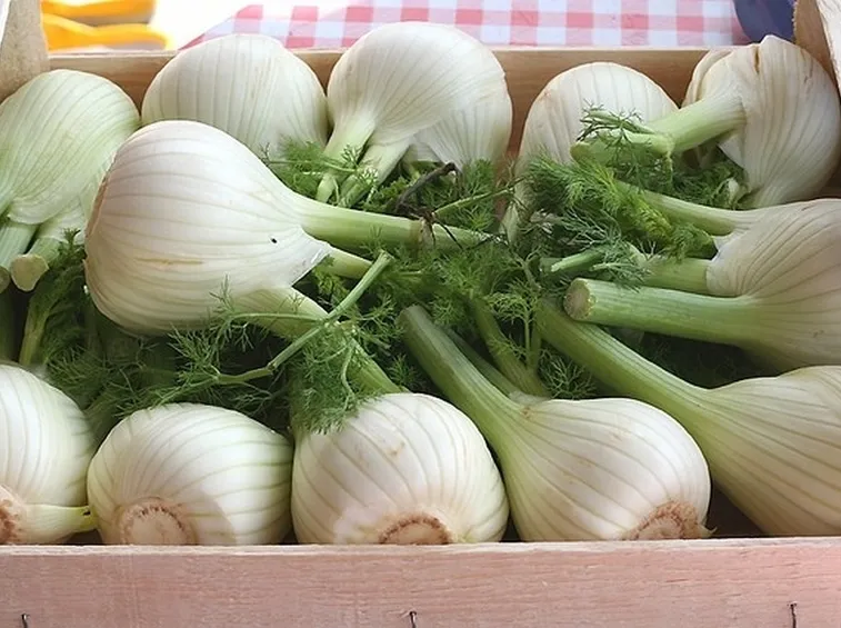 finocchio dolce