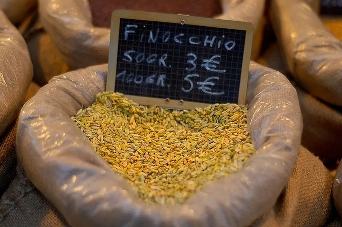 semi di finocchio