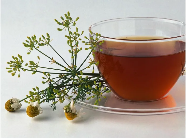 tisana finocchietto camomilla