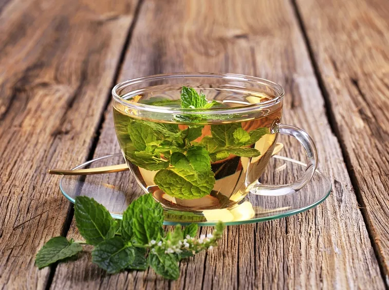 tisana menta