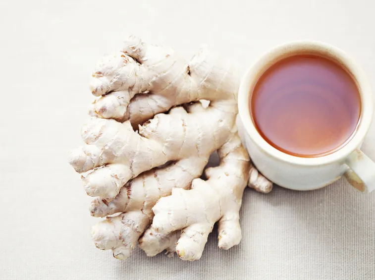 tisane zenzero