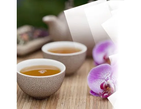 Tisana l'Angelica funzionale