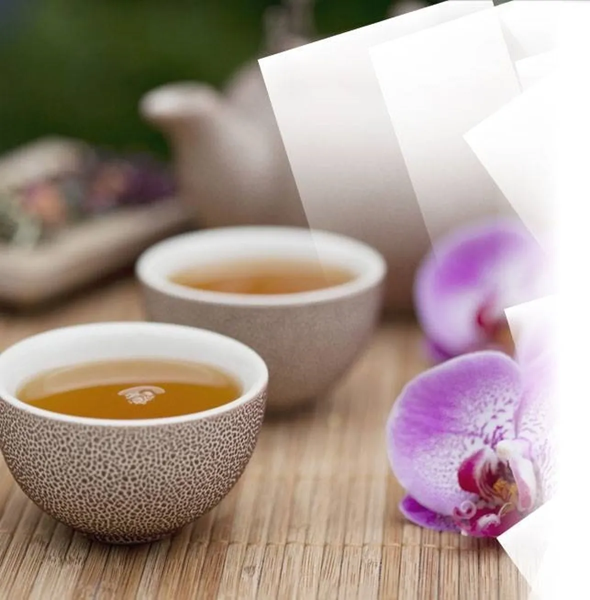 Tisana l'Angelica funzionale