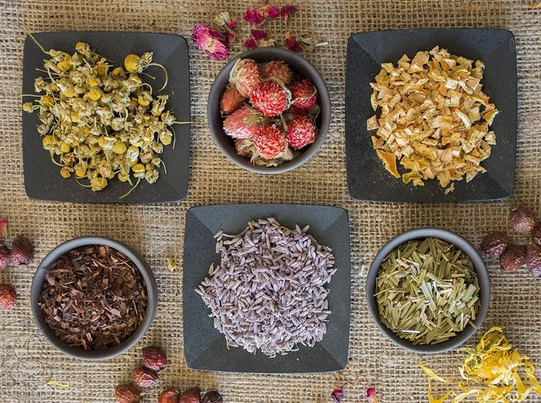 tisane drenanti