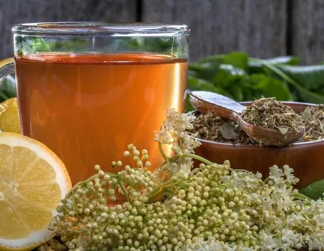 tisane e infusi in gravidanza