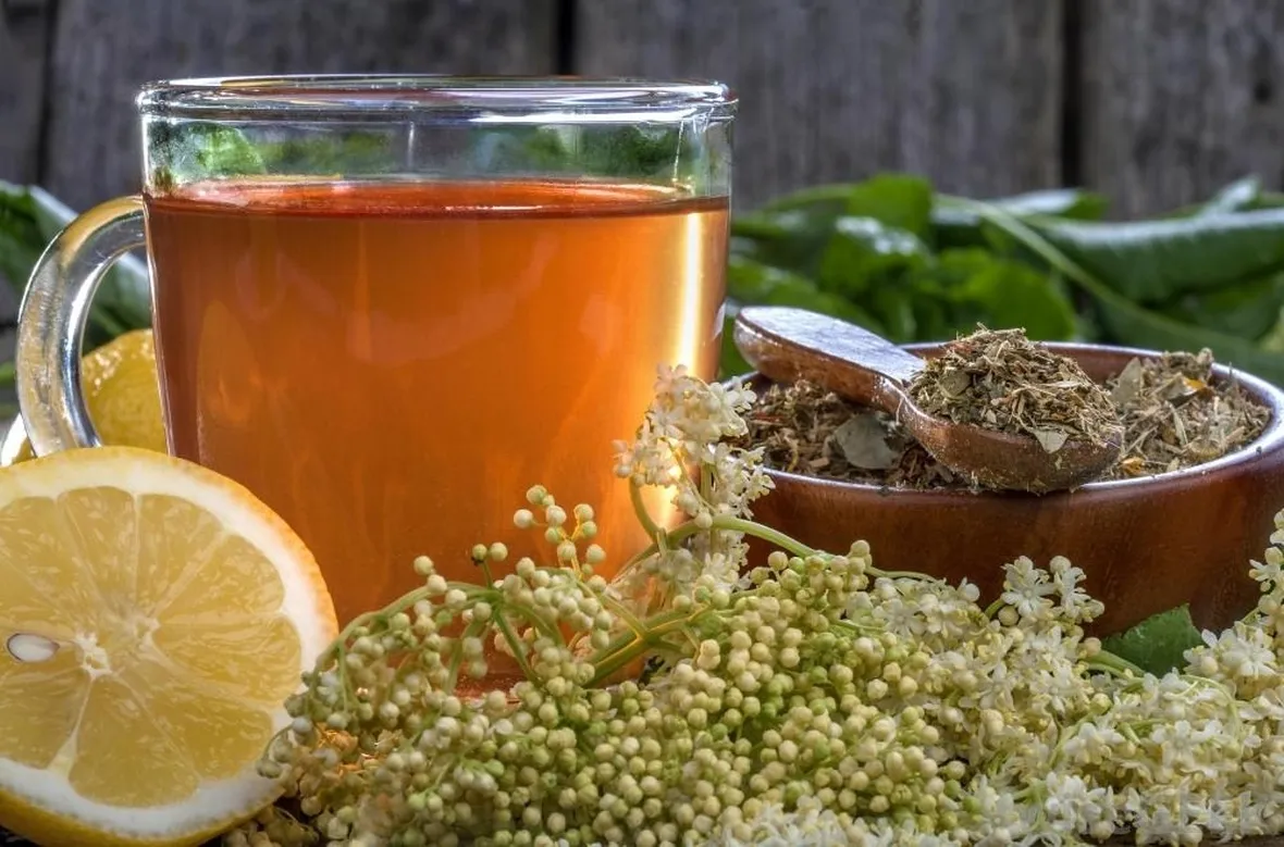 tisane e infusi in gravidanza