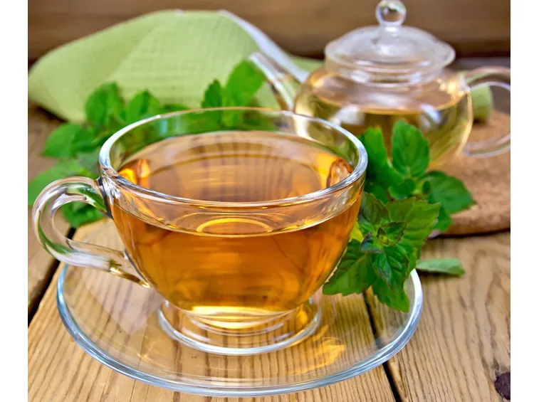 tisane melissa