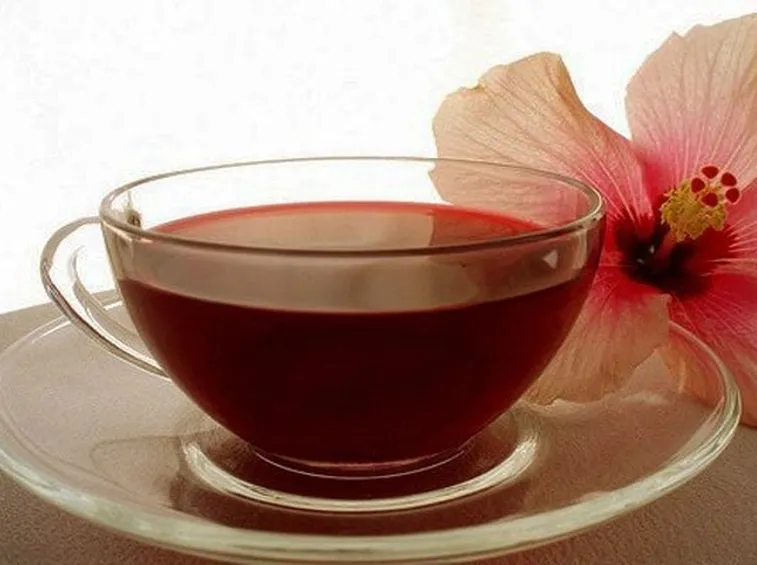 tisana al karkadè