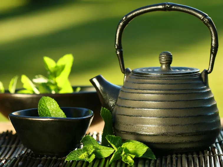 tisane pompadur regolarizzanti